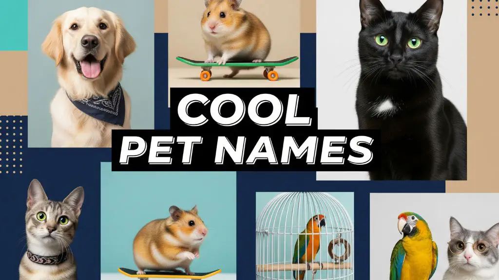 Cool Pet Names