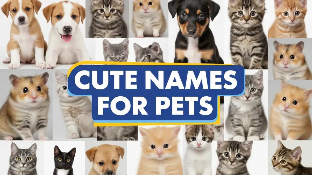Cute Names for Pets