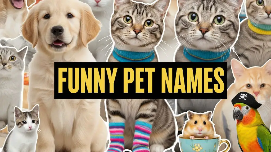 Funny Pet Names