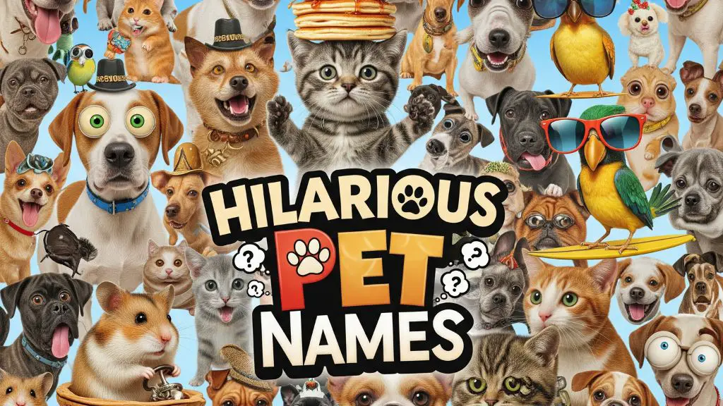 Hilarious Pet Names
