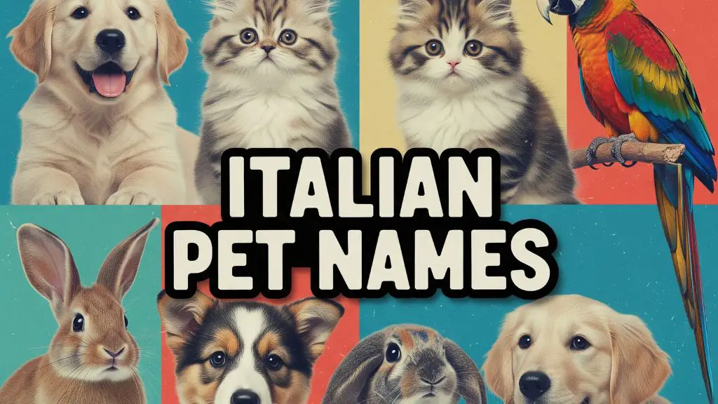 Italian Pet Names