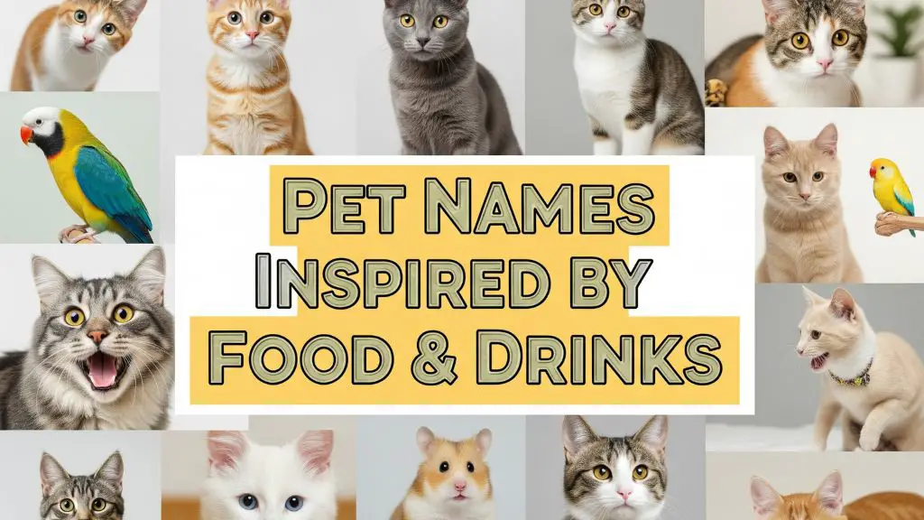 Pet Names Inspired by Food & Drinks