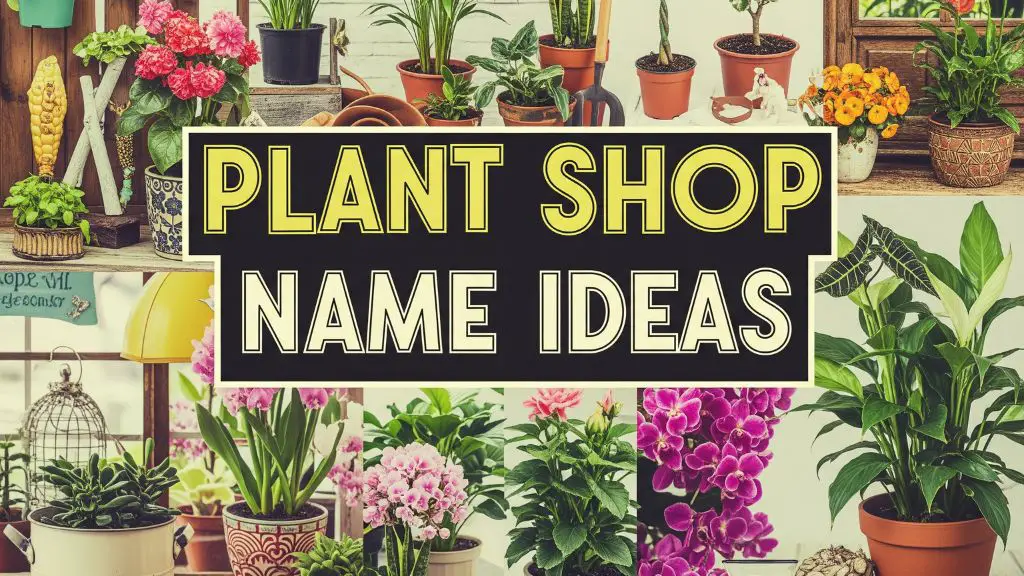 Plant Shop Name Ideas