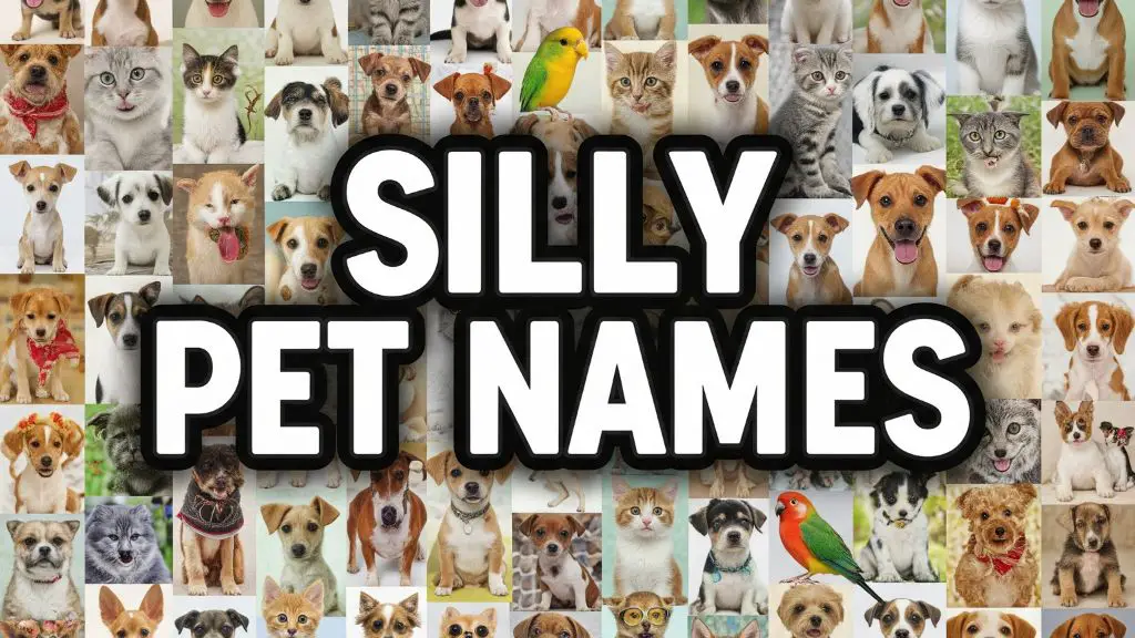 Silly Pet Names
