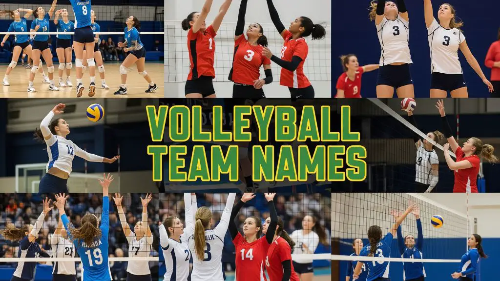 Volleyball Team Names