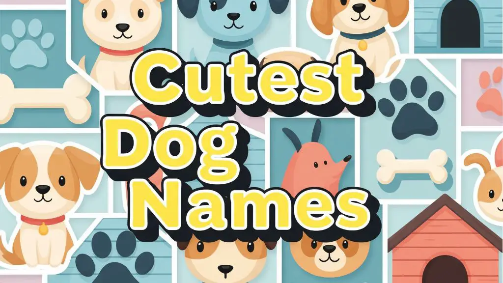 Cutest Dog Names