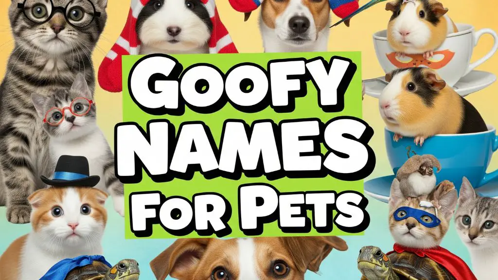 Goofy Names for Pets