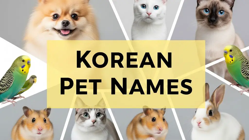 Korean Pet Names