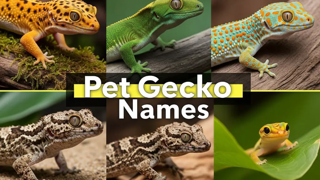 Pet Gecko Names