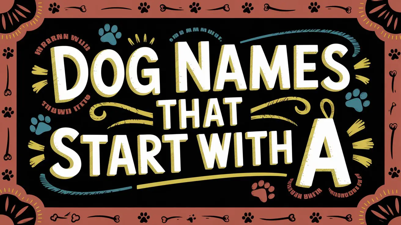 Dog Names That Start With A