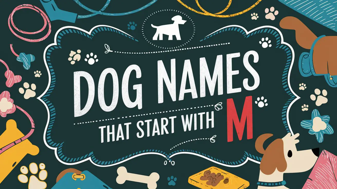 Dog Names That Start With M
