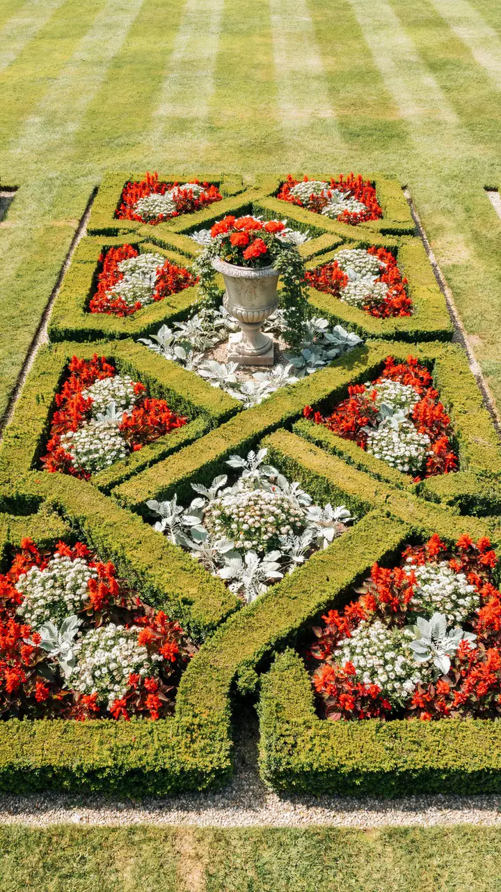 Plant a Formal Victorian Knot Garden